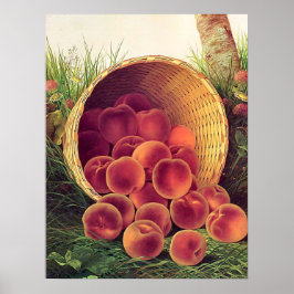 Gespoelde perziken poster