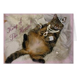 GESPOILEERD PRINCESS CAT LAYING ON BACK