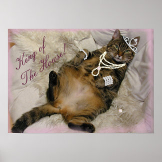 GESPOILEERD PRINCESS CAT LAYING ON BACK POSTER