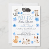 Gesponnen-fect Schattigee Katten Bloemknaap Baby s Kaart (Voorkant)