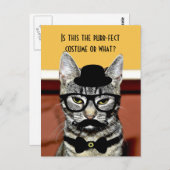 Gesponnen kat briefkaart (Voorkant / Achterkant)