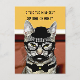 Gesponnen kat briefkaart