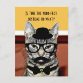 Gesponnen kat briefkaart (Voorkant)