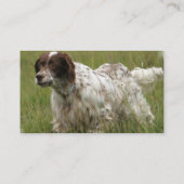 Gespotte Engelse Setter Dog Visitekaartjes (Achterkant)