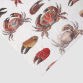  gestileerde krabben en krabben tissuepapier (Detail)