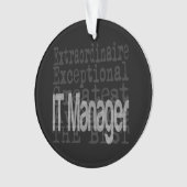 Gestionnaire de l'information (devant)