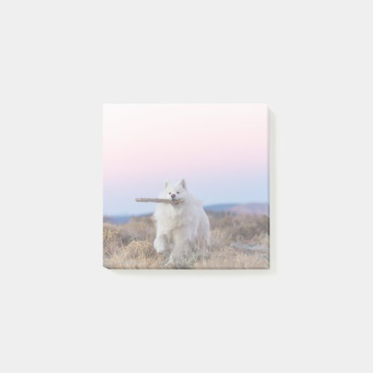 Gestionnaire de succursales - Notes de post-it 3 p (Devant)