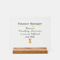 Gestionnaire des finances