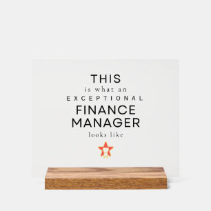 Gestionnaire des finances Bureau professionnel