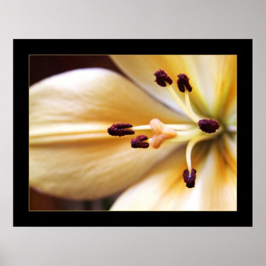 Gestopt Poster van de Klokventilator (Voorkant)