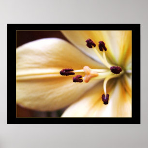 Gestopte Klok Bloem Poster