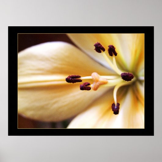 Gestopte Klok Bloem Poster (Voorkant)