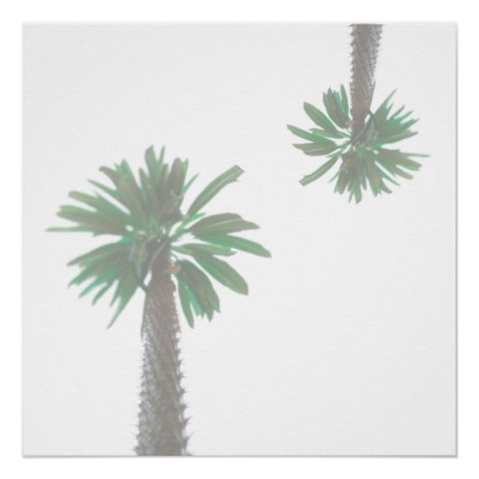 Gestormde palmboom Pastel Green Tropical Perfect Poster (Voorkant)