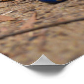 Gestorte bosbessen poster (Hoek)