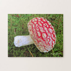 Gestorven Agaric/Amanita Muscaria Red Mushroom Legpuzzel