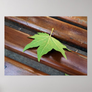 gestorven blad poster