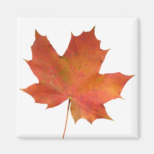 Gestorven Leaf 01 Magneet (Voorkant)
