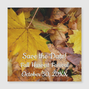 Gestorven Maple laat Yellow Autumn Natuur