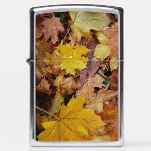 Gestorven Maple laat Yellow Autumn Natuur