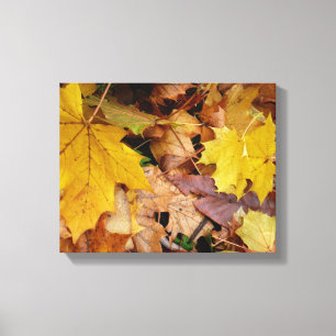 Gestorven Maple laat Yellow Autumn Natuur Canvas Afdruk