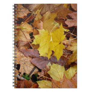 Gestorven Maple laat Yellow Autumn Natuur Notitieboek