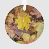 Gestorven Maple laat Yellow Autumn Natuur Ornament (achterkant)