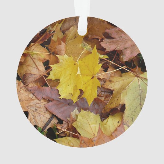 Gestorven Maple laat Yellow Autumn Natuur Ornament (achterkant)