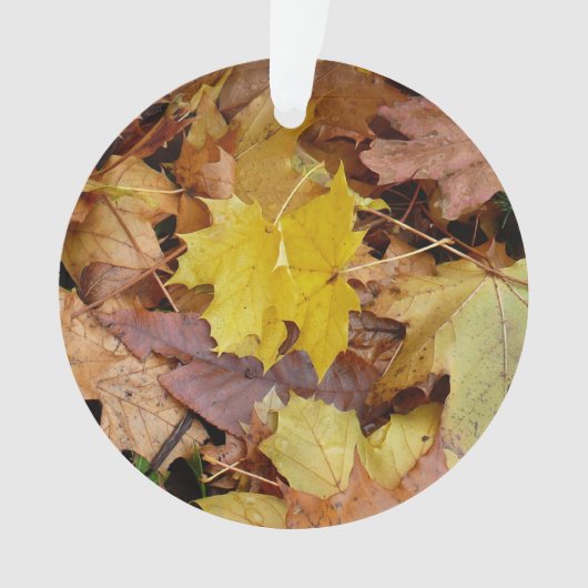 Gestorven Maple laat Yellow Autumn Natuur Ornament (voorkant)