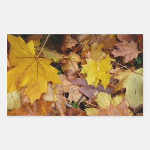 Gestorven Maple laat Yellow Autumn Natuur Rechthoekige Sticker