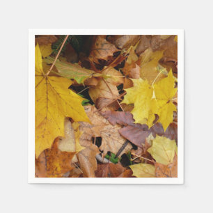 Gestorven Maple laat Yellow Autumn Natuur Servetten