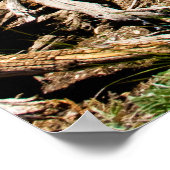 Gestorven pine-boom poster (Hoek)