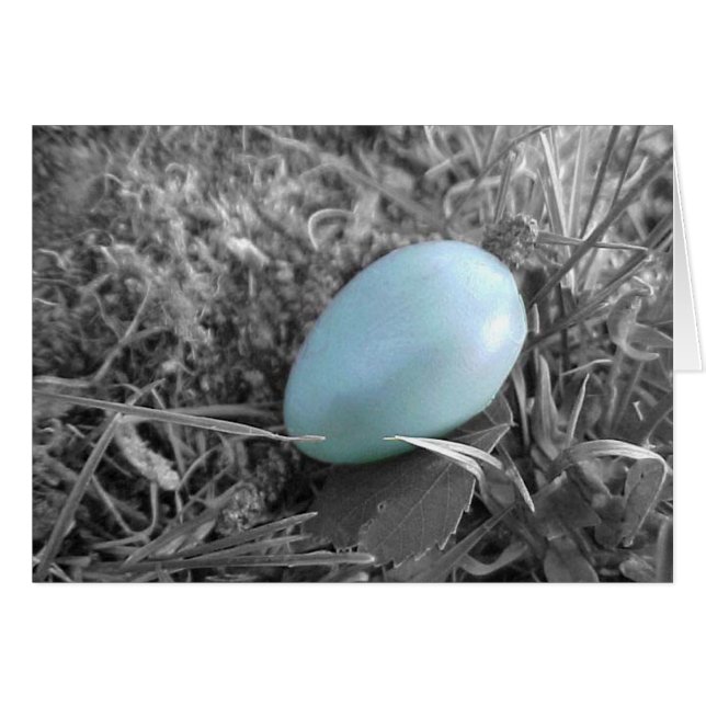 Gestorven van het nest (Voorkant Horizontaal)