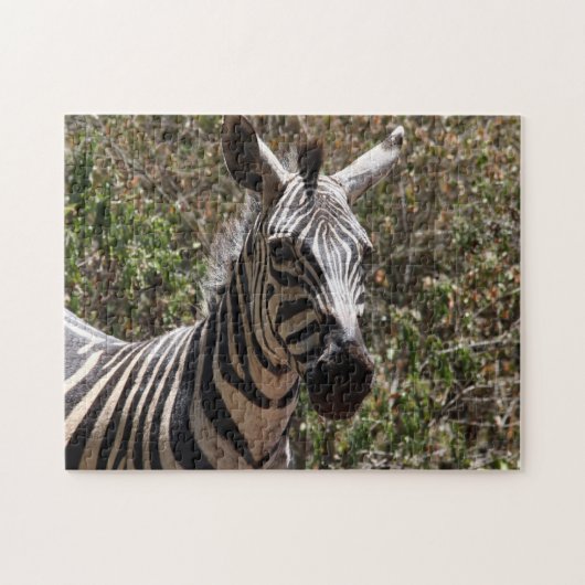 gestreept als een zebra legpuzzel (Horizontaal)