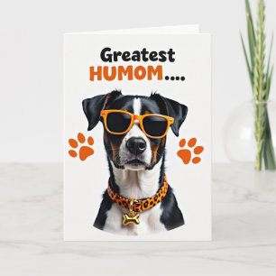 Gestreept Coole Hond Kaart