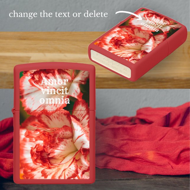 Gestreepte anjers en gerbera (Creator heeft geüpload)