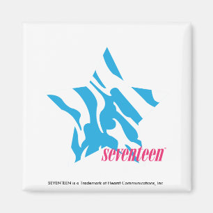 Gestreepte Aqua 3 Magneet