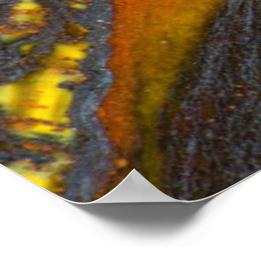 Gestreepte Australische tijgerogen Poster (Hoek)