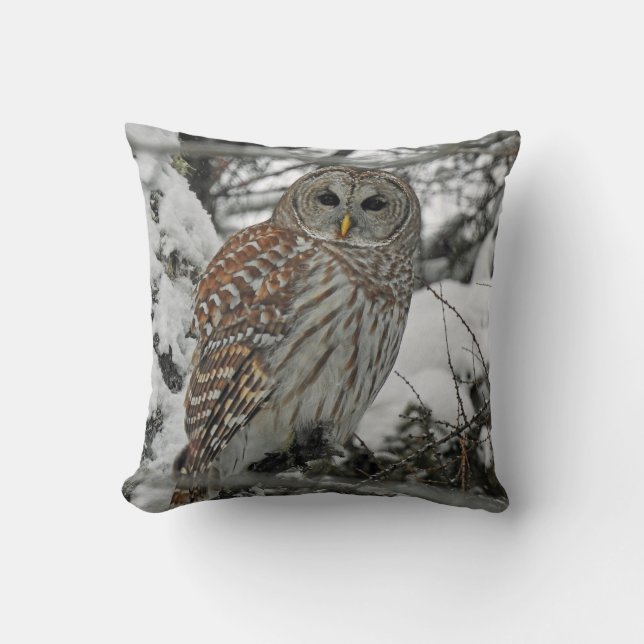 Gestreepte bosuil kussen (Voorkant)