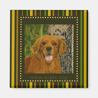 Gestreepte Golden Retriever Magnet AZGRC Magneet