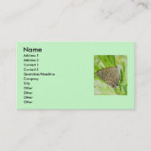 Gestreepte Hairstreak-Visitekaartje Visitekaartje (Voorkant)