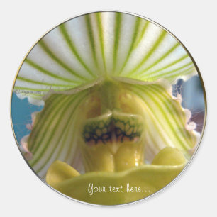 Gestreepte Lime Green Slipper Orchidee Wedding Sea Ronde Sticker