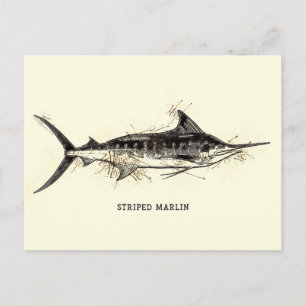 Gestreepte Marlin Illustratie Schets Artwork Briefkaart