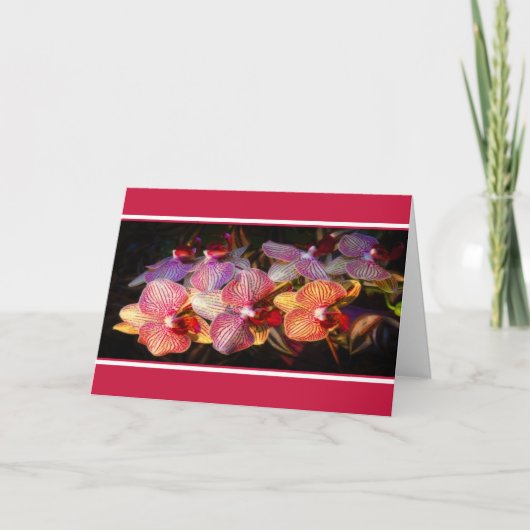 Gestreepte orchidee kaart (Voorkant)