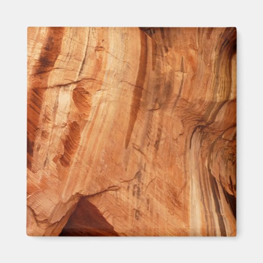 Gestreepte Rock of Double Arch Alcove I van Zion Magneet (Voorkant)