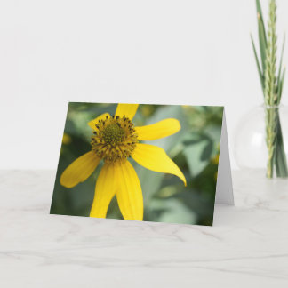 Gestreepte rudbeckia (Rudbeckia laciniata) Kaart