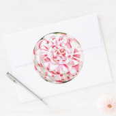Gestreepte snoeprietcamellia ronde sticker (Envelop)