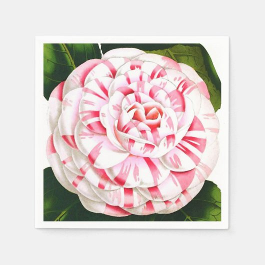 Gestreepte snoeprietcamellia servetten (Voorkant)