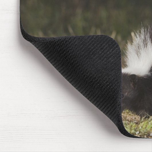 Gestreepte stinkdier-, mefitis-mephitis muismat (Hoek)