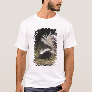 Gestreepte stinkdier, Mephitis mephitis T-shirt