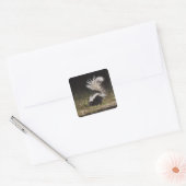 Gestreepte Stinkdier, Mephitis mephitis Vierkante Sticker (Envelop)